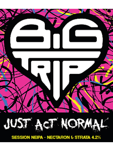 Big Trip - Just Act Normal