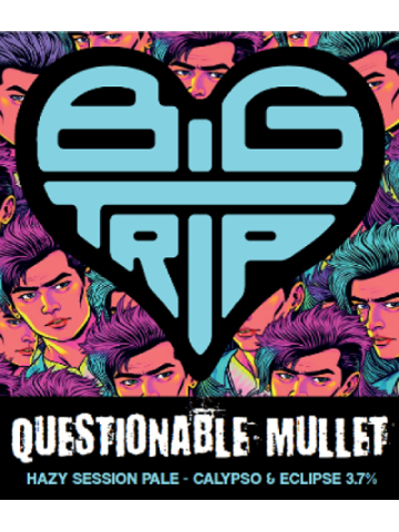 Big Trip - Questionable Mullet