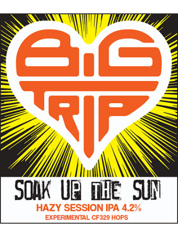Big Trip - Soak Up The Sun