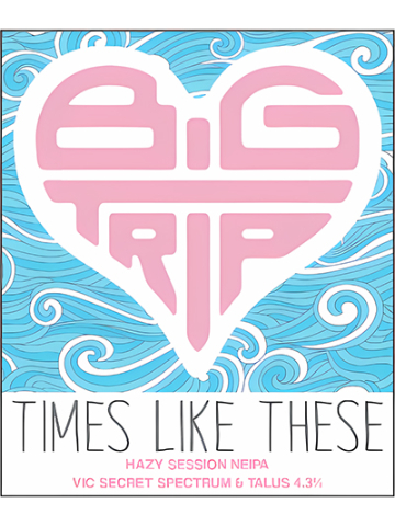 Big Trip - Times Like These