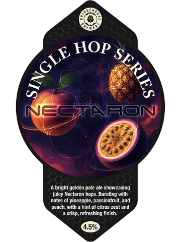 Bridgehouse - Nectaron