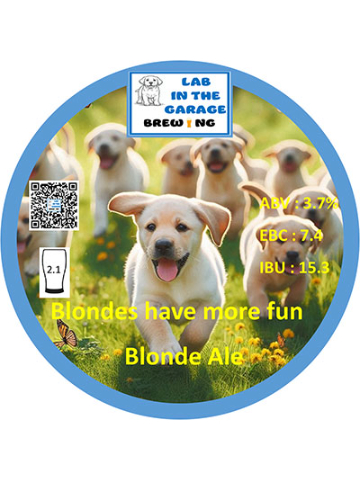 Lab In The Garage - Blondes Have More Fun
