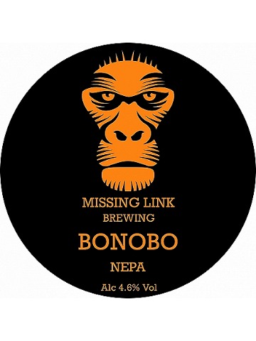 Missing Link - Bonobo